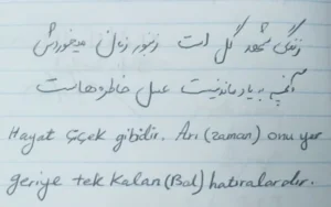 Hayat çiçek gibidir. Arı (Zaman) onu yer. Geriye tek kalan (bal) hatıralardır.
